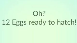 12 12k EGGS on Pokemon Go !