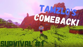 ▲Tamzlo ist zurück▼ Minecraft Earth #1