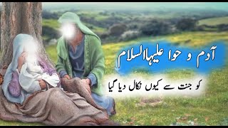 Hazrat Adam AS Aur Bibi Hawa AS Ko Jannat Se Q Utara Gaya  || Story of Prophet Adam & Eve in Urdu