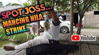 MANTAP..!! Mancing ikan nila di spot ini strike terus //edy zhembe vlog