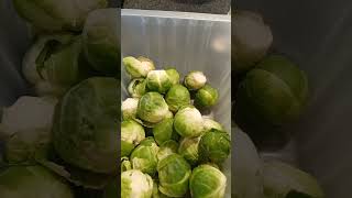 Brussels Sprouts