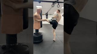 Switch Kick, Cross, Hook, Uppercut, Push Kick combo #shorts #pushkick