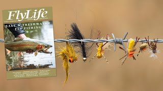 FlyLife Magazine - Number 113 – Summer 2023/24