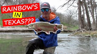 GUADALUPE river winter FISHING {RAINBOW TROUT IN TEXAS??} | Rainbow Trout Fishing EP. 4