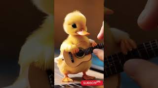 CUTE DUCK MUSICIAN VIDEOS? Watch This Now!