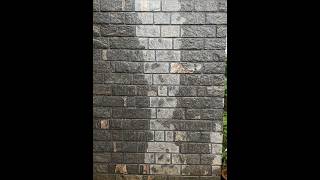 Random Stone wall after a short rain #mysore #random #} #stockfootage #stockvideo