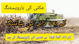 Quality and result corn 🌽 harvesting مکئی 🌽 کی ہارویسٹنگ In Pakistan 🇵🇰