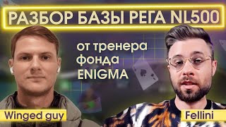 Разбор базы рега NL500+ тренером фонда Enigma Андреем Winged Guy