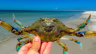 BLUE CRAB 101 ** How to Catch, Clean and Cook Blue Crabs the EASY WAY!!