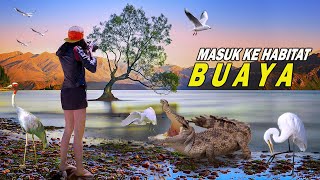 NEKAT Masuk Ke Habitat BUAYA Besar Rekam Aneka Burung