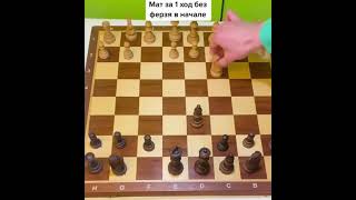 Это самый наглый МАТ! Быстро выиграть в шахматы. #chess #shorts