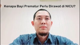 Kenapa Bayi Prematur Perlu Dirawat di NICU?