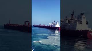 Merchant navy WhatsApp status #merchantnavy #fishing #navy #viralvideo