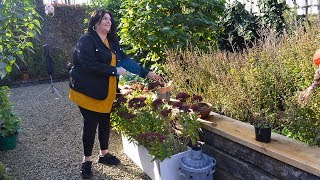 Our Irene Barclay Gardening in Bloom fund