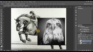 photoshop tutorials