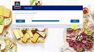 ALDI Customer Satisfaction Survey | 2023