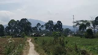 SUASANA DESA DI KAKI GUNUNG PESAGI BAHWAY