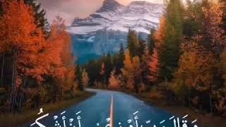 القارئ مشاري العفاسي..سورة النمل..مقاطع انستجرام...🌸🌿