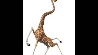 Melman audition for rtgoh1