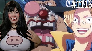 LET'S GO GET IT! BUGGY'S BIG DECLARATION! ONE PIECE EPISODE 1116 REACTION