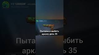 пытаемся выбить аркану день 35☀ го 5.5к до др🥳