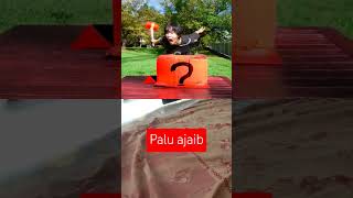 Misteri box || palu ajaib #funny #entertaining #misteri #box #shorts