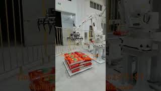 Seed packing machine Big bag Food packing machine Palletizer Vertical packing machine