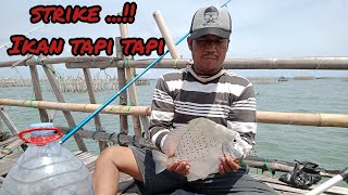 Mancing Bagan Tanjung Kait , strike ikan tapi tapi