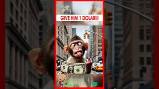 💰🐒 Monkey’s Wild Transformation: From Poor to Rich in Seconds! 💸🐒