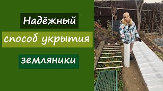 Надёжный способ укрытия земляники