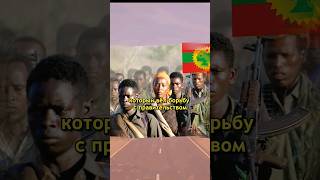 Эфиопия 🇪🇹 Как там? #африка #Эфиопия #безопасность