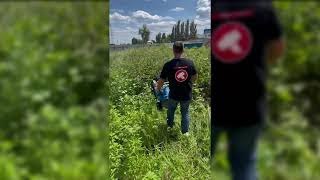 we are testing a rotary mower on the Neva tillerblock \ роторная косилка на мотоблоке Нева