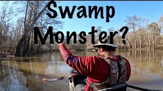 Swamp Monster on 4lb Test