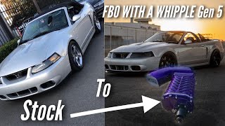 Transforming My SVT Cobra from STOCK to FULL BOLT ON With a WHIPPLE GEN 5 SUPERCHARGER