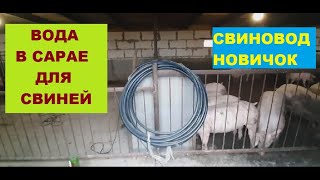 Как провести воду, в сарае для свиней?! Вода для свиней. Утепляем двери. Свиноводство.