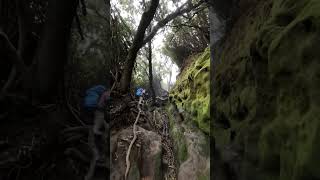 Siapa yang rindu jalur lorong tikus pendakian #gunungkerinci ?