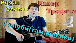 Трофим - голуби (там высоко)/ кавер под гитару/ песни под гитару