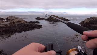 Fishing Big Sur And The Coastguard Pier In Monterey CA!!