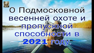 О Подмосковной весенней охоте и пропускной способности в 2021 году.