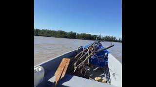 vida en la isla... río Paraná