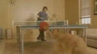 Funny Dog Commercial