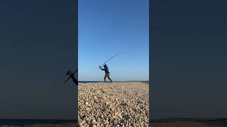 Chesil fishing #shorts