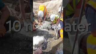 Plaster Jacketing a Mammoth Skull | Hills Group Mammoth Graveyard