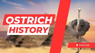 History Of Ostrich