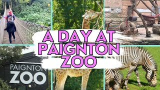 A DAY AT PAIGNTON ZOO| DEVON ENGLAND| DAYS OUT UK