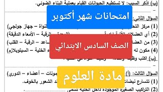 امتحان شهر اكتوبر علوم الصف السادس الابتدائي حل اختبار الوزارة شهر أكتوبر ماده العلوم ستة ابتدائي