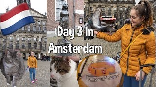 Day 3 In Amsterdam - Cats everywhere and The Anne Frank House