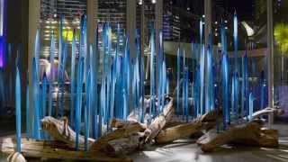 theGALLERY featuring Dale Chihuly | The Shops at Crystals