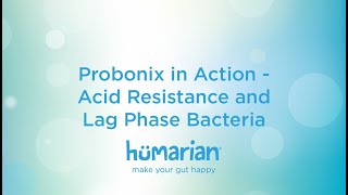 Probonix in Action - Acid Resistance and Lag Phase Bacteria