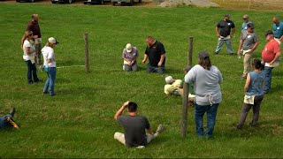 KIWI Fence School